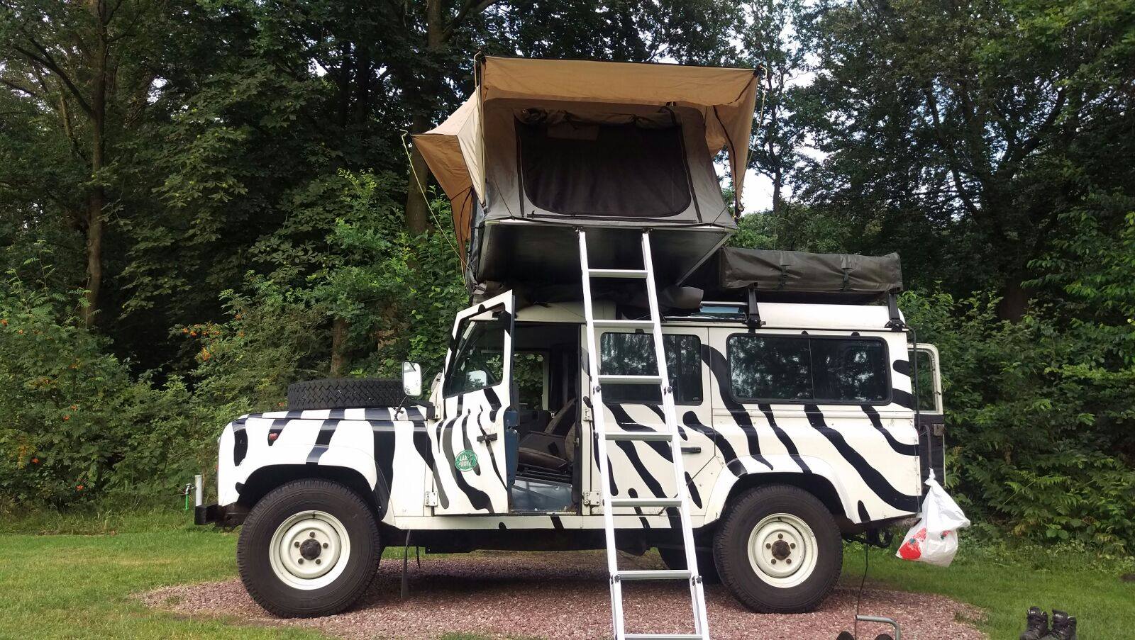 13732041 1806673626231664 4636896198193893759 o