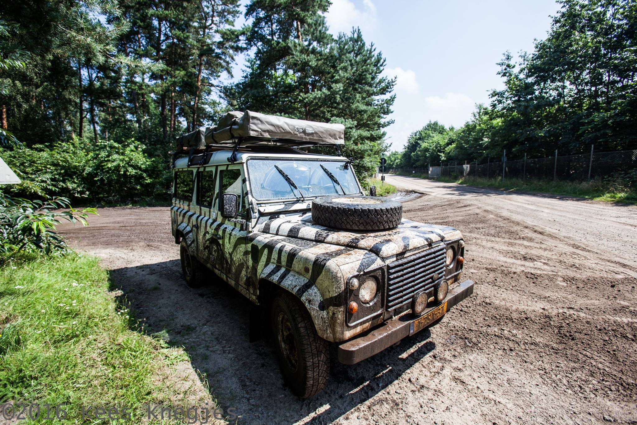 14124520 10154415475214659 6624594757081974612 o