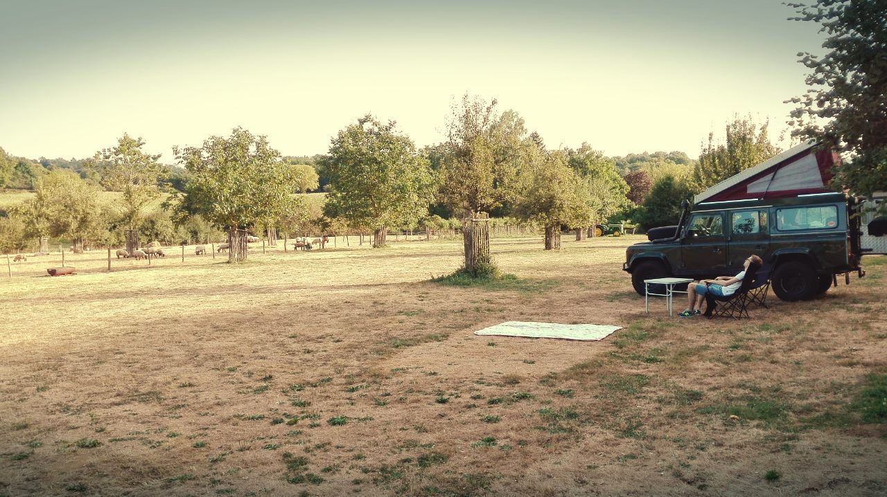 14362444 1832917476940612 1670224778754462980 o