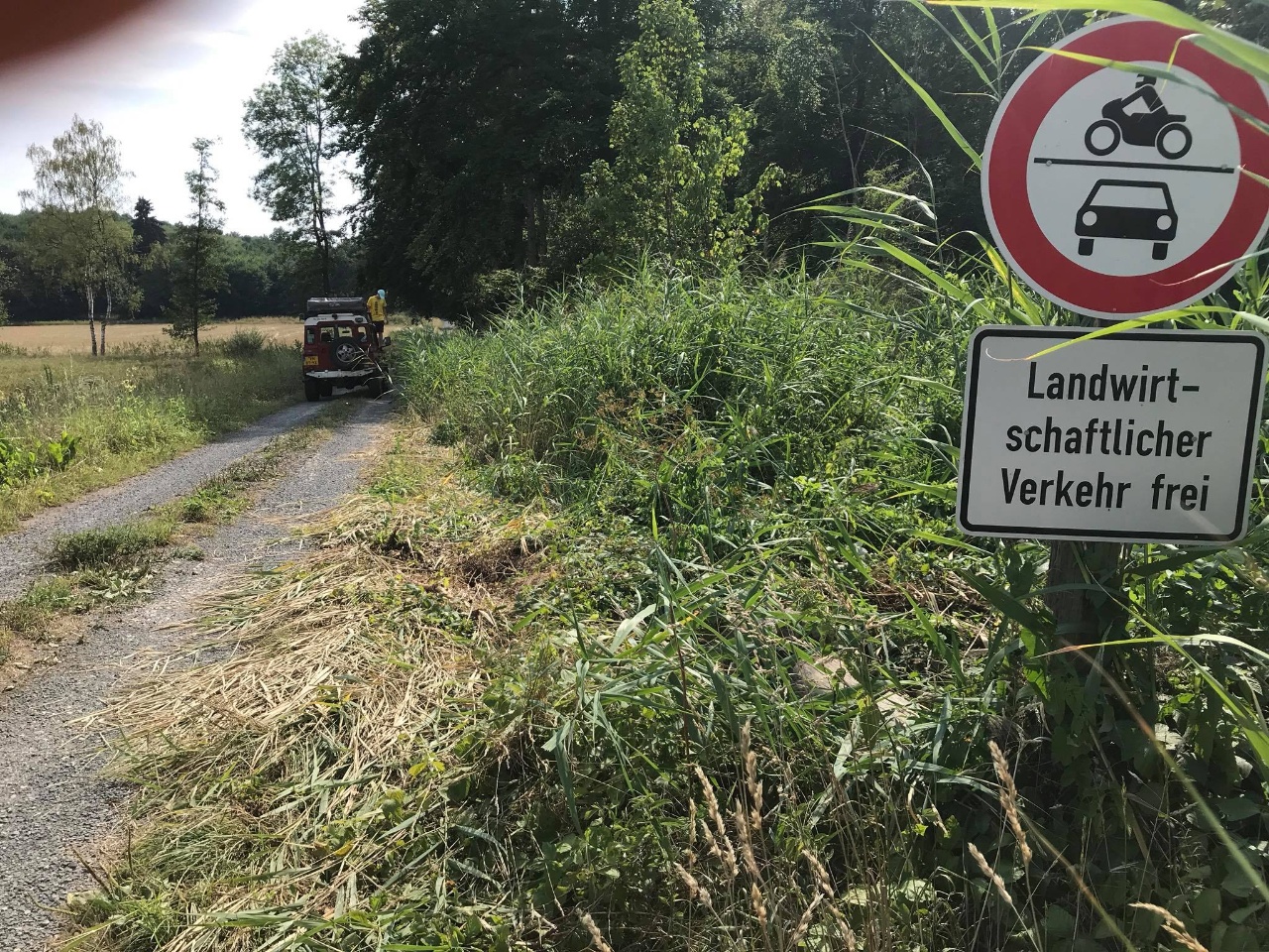 37907177 1727412863993671 4344203220533379072 o