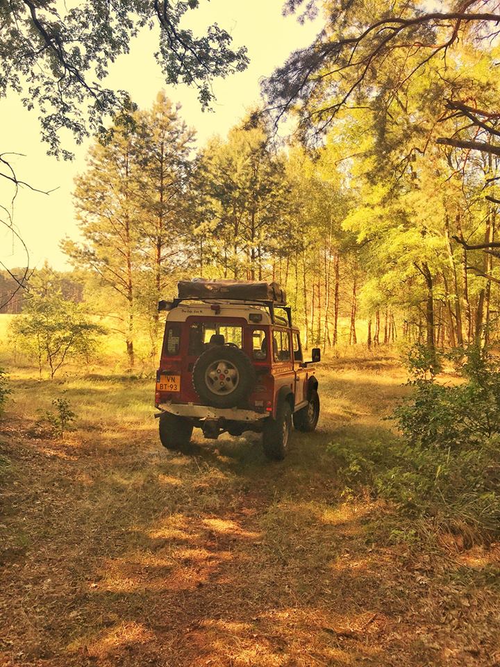 38032815 1731274626940828 3164183951212281856 n