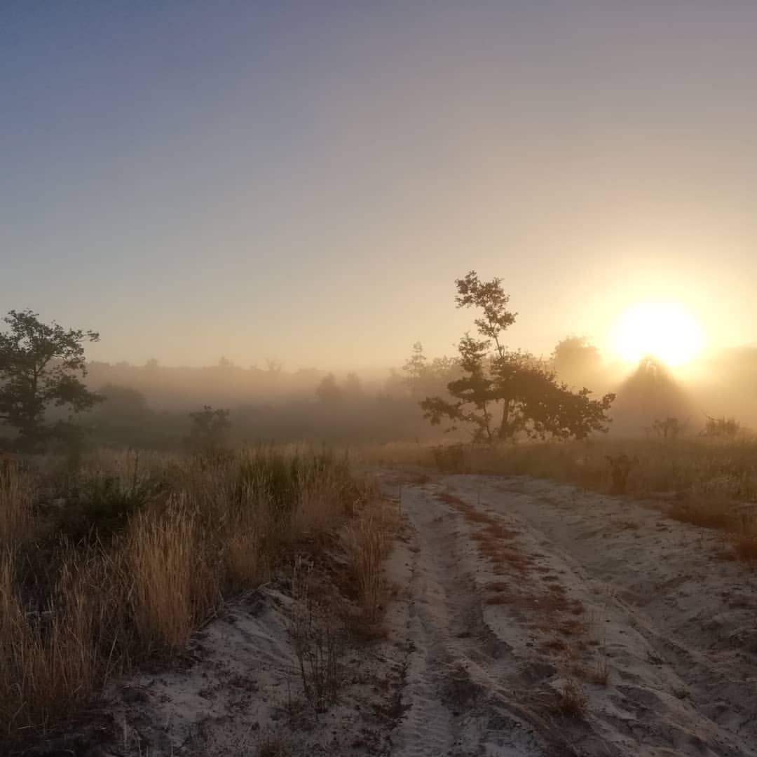 38695469 249923205656146 8563825842289901568 n